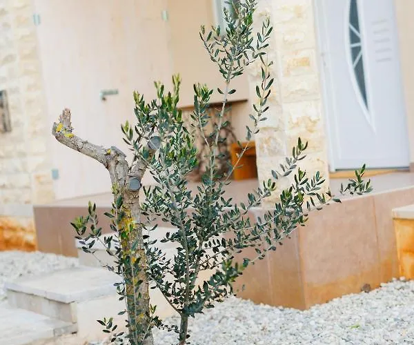 빌라 Queen Jelena *